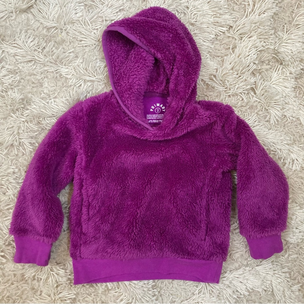 Primary Fuzzy Hoodie
